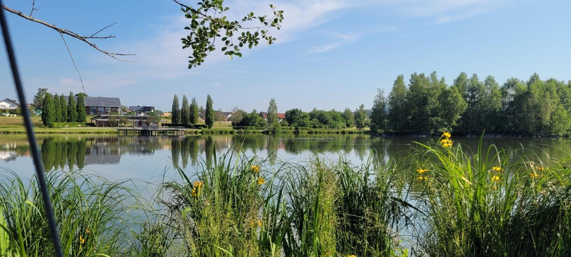 Ferienwohnung Bayerwaldblick Jandelsbrunn Экстерьер фото