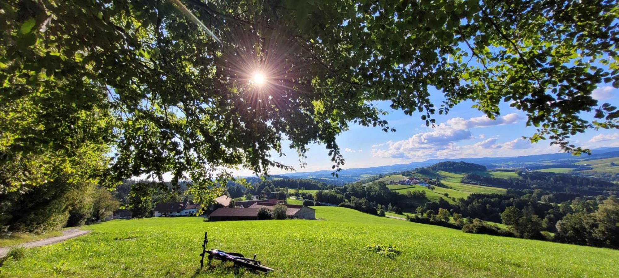 Ferienwohnung Bayerwaldblick Jandelsbrunn Экстерьер фото
