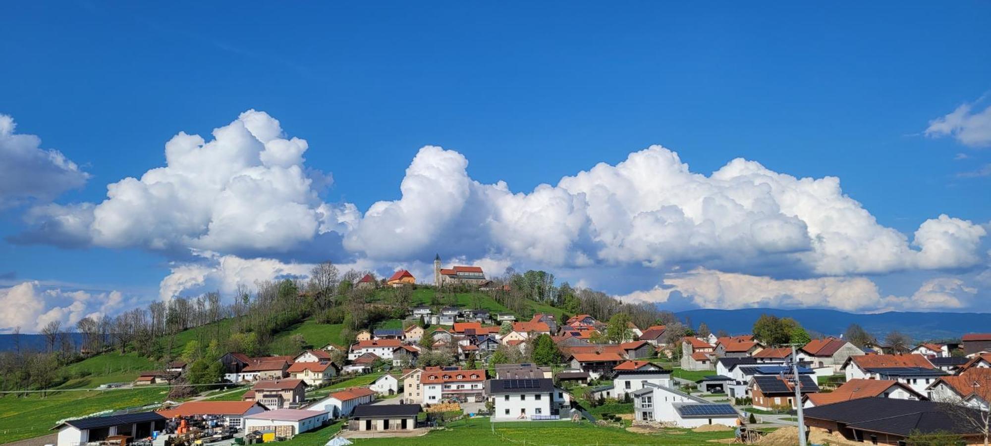 Ferienwohnung Bayerwaldblick Jandelsbrunn Экстерьер фото