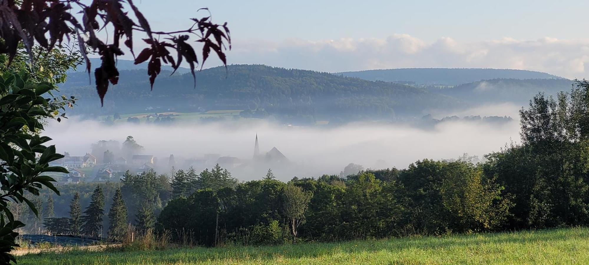 Ferienwohnung Bayerwaldblick Jandelsbrunn Экстерьер фото